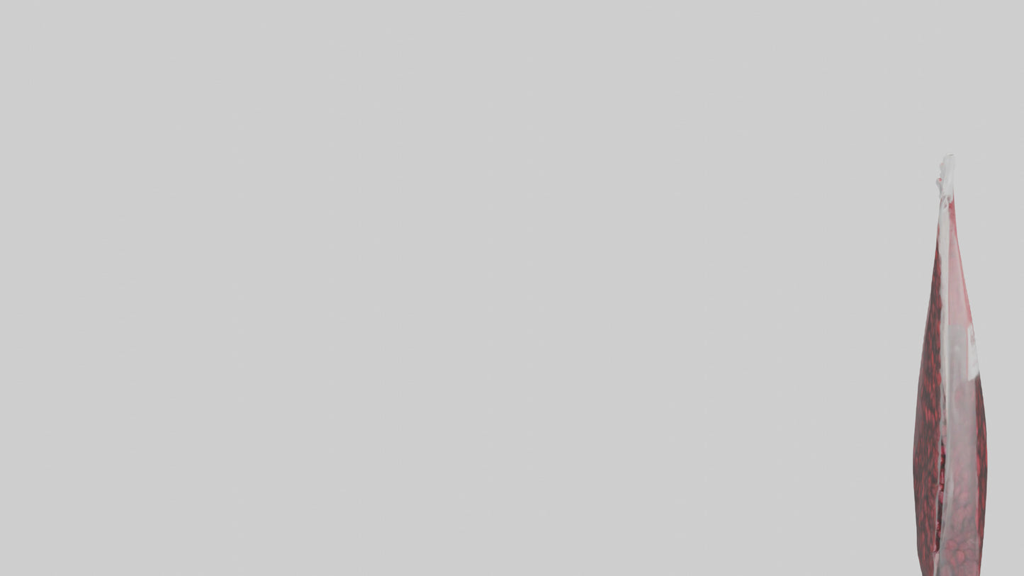 3D model Dried Cranberries Model VR / AR / low-poly