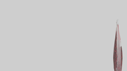 3D model Dried Cranberries Model VR / AR / low-poly