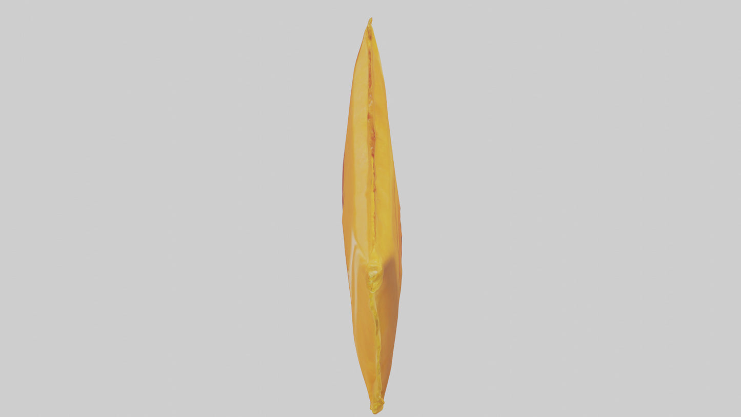 Dried Mango Pack model 3D model