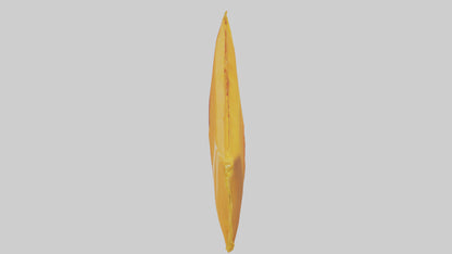 Dried Mango Pack model 3D model