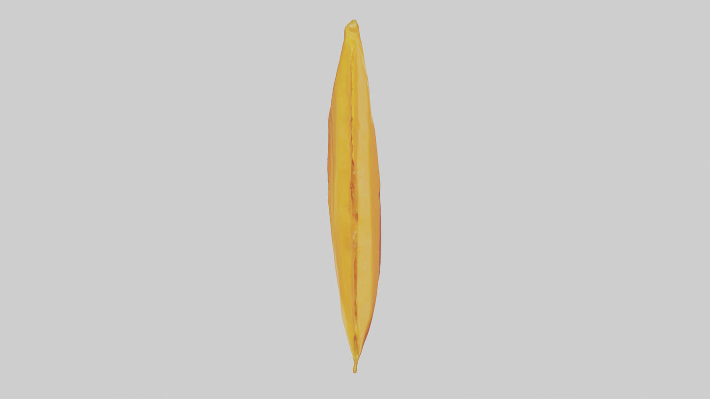 Dried Mango Pack model 3D model