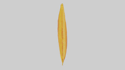 Dried Mango Pack model 3D model