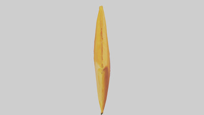 Dried Mango Pack model 3D model