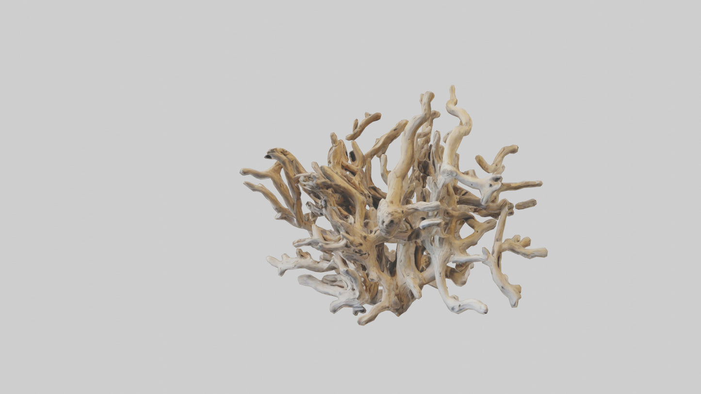 3D model Driftwood Sculpture model VR / AR / low-poly
