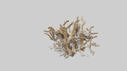 3D model Driftwood Sculpture model VR / AR / low-poly