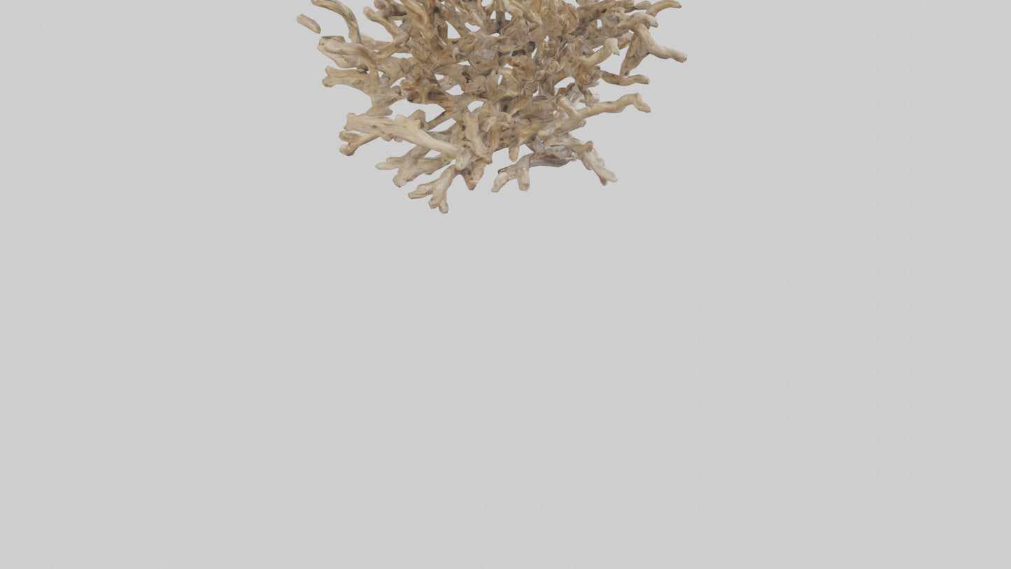 3D model Driftwood Sculpture model VR / AR / low-poly