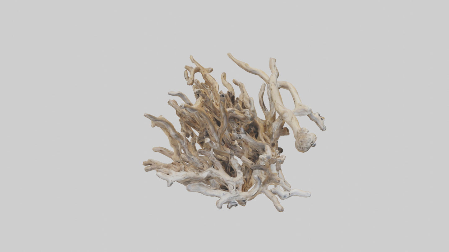 3D model Driftwood Sculpture model VR / AR / low-poly