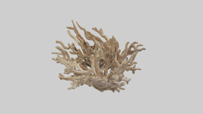 3D model Driftwood Sculpture model VR / AR / low-poly