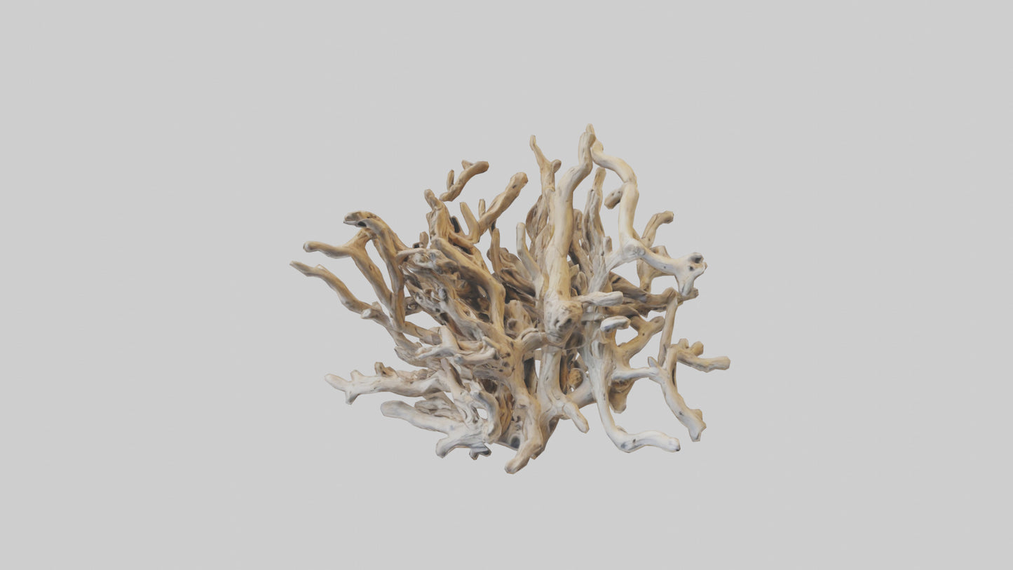 3D model Driftwood Sculpture model VR / AR / low-poly