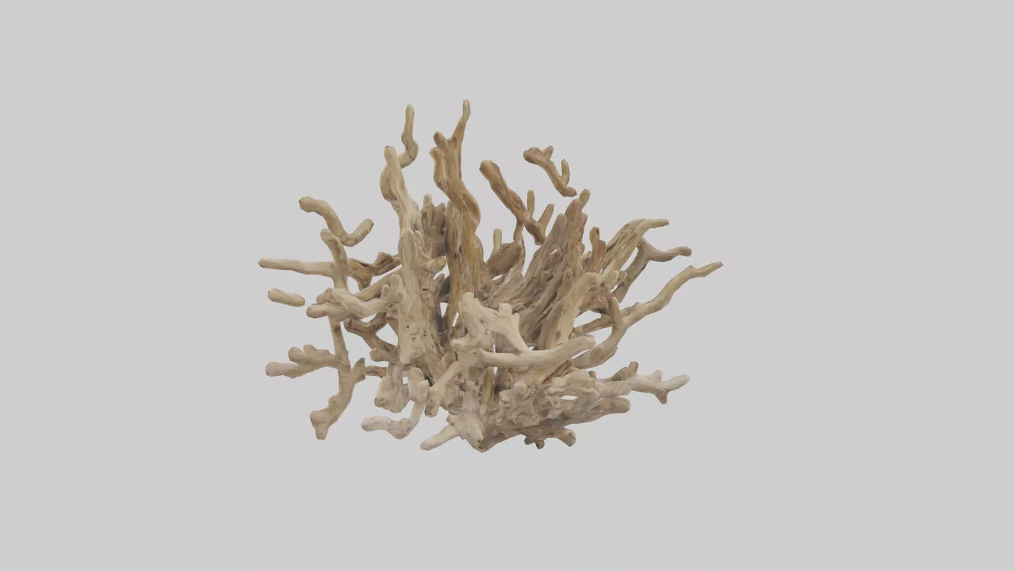 3D model Driftwood Sculpture model VR / AR / low-poly