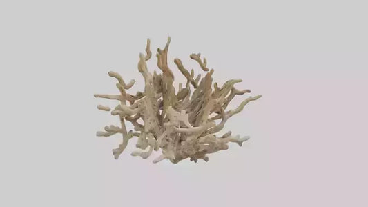 3D model Driftwood Sculpture model VR / AR / low-poly