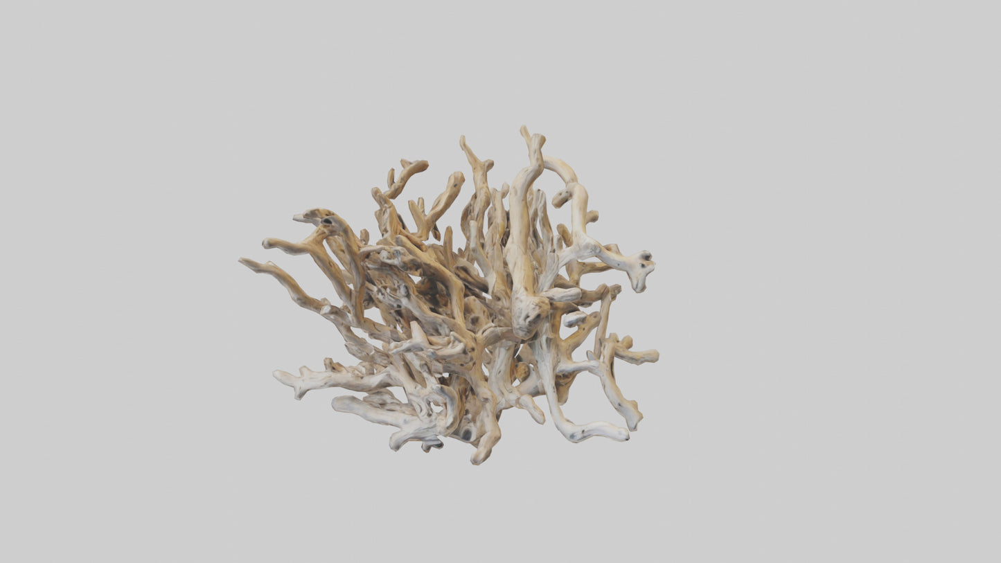 3D model Driftwood Sculpture model VR / AR / low-poly