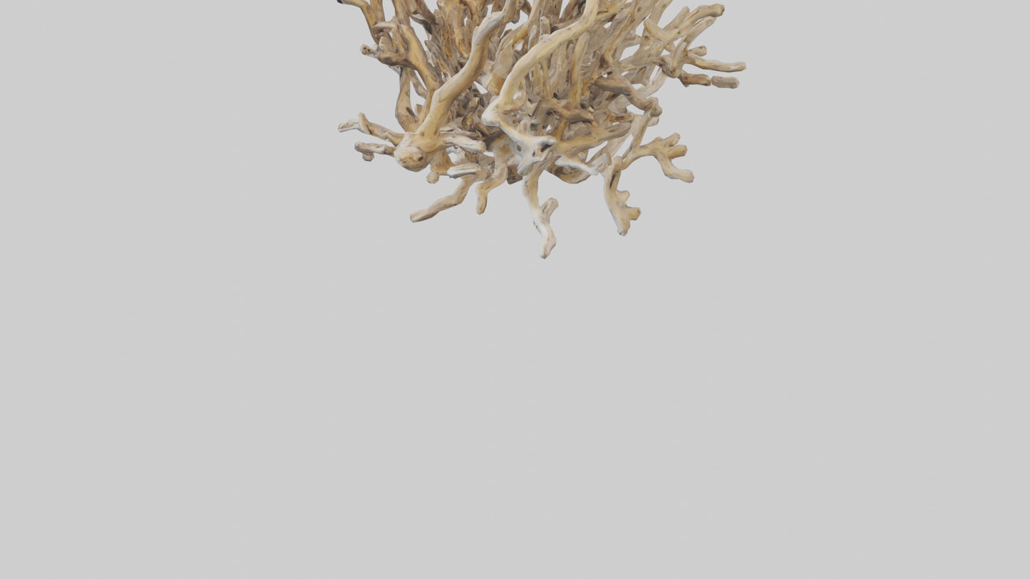 3D model Driftwood Sculpture model VR / AR / low-poly