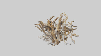 3D model Driftwood Sculpture model VR / AR / low-poly