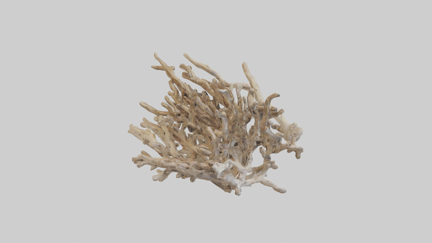 3D model Driftwood Sculpture model VR / AR / low-poly