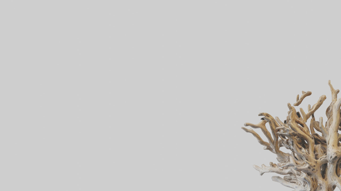 3D model Driftwood Sculpture model VR / AR / low-poly