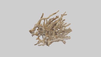 3D model Driftwood Sculpture model VR / AR / low-poly