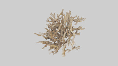 3D model Driftwood Sculpture model VR / AR / low-poly