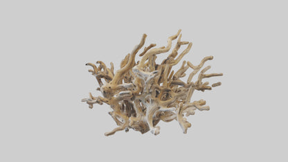3D model Driftwood Sculpture model VR / AR / low-poly