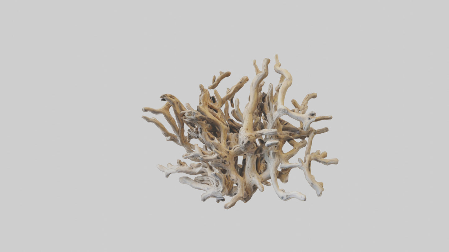 3D model Driftwood Sculpture model VR / AR / low-poly
