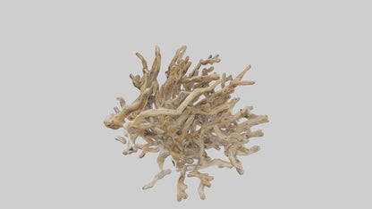 3D model Driftwood Sculpture model VR / AR / low-poly