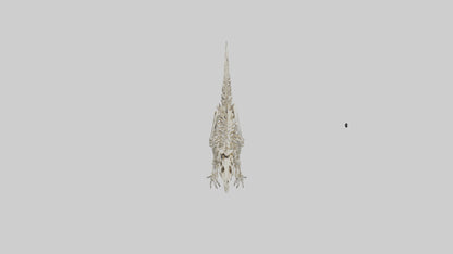 3D model Dromaeosaurus Skeleton model VR / AR / low-poly