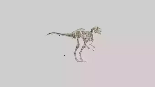 3D model Dromaeosaurus Skeleton model VR / AR / low-poly