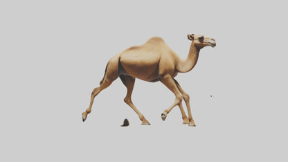 Dromedary Camel walking model VR / AR / low-poly