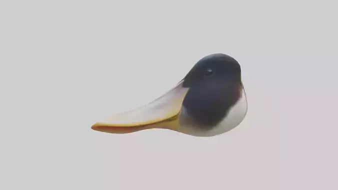 Duck Beak 3D model