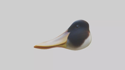 Duck Beak 3D model
