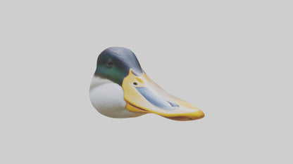 Duck Beak 3D model