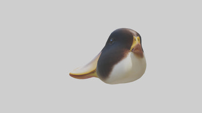 Duck Beak 3D model