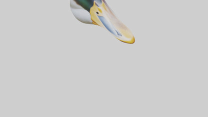 Duck Beak 3D model