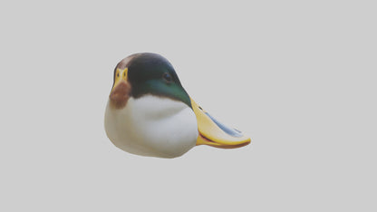 Duck Beak 3D model