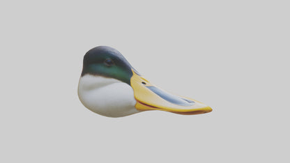 Duck Beak 3D model