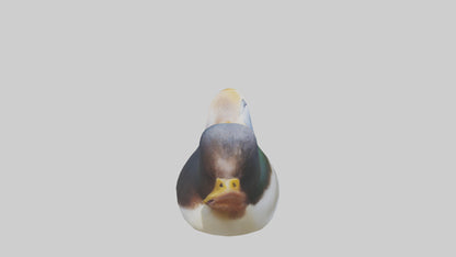 Duck Beak 3D model