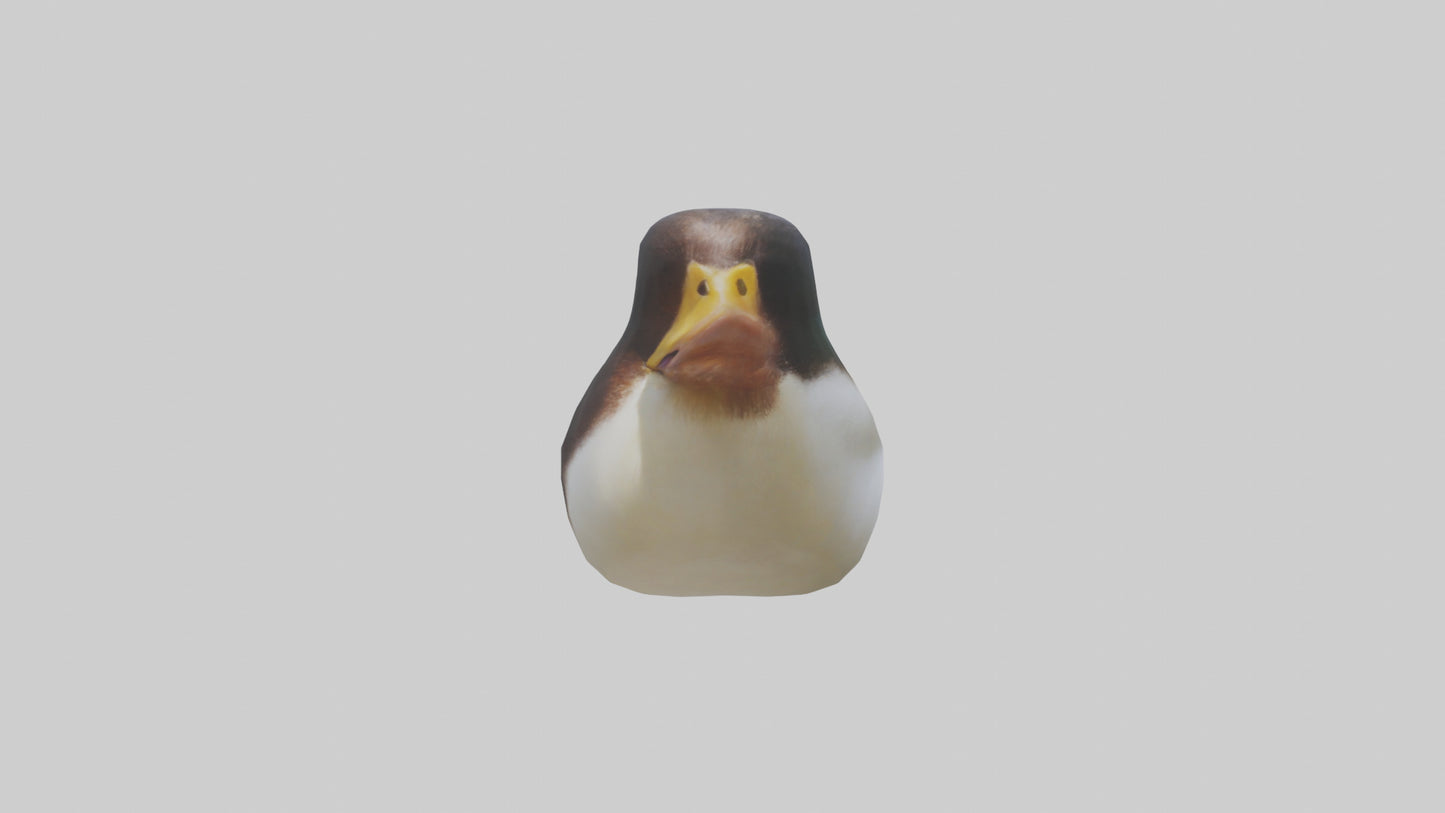 Duck Beak 3D model