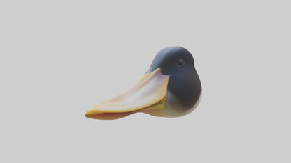 Duck Beak 3D model