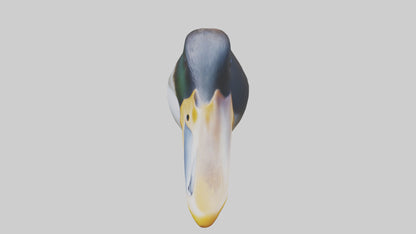 Duck Beak 3D model