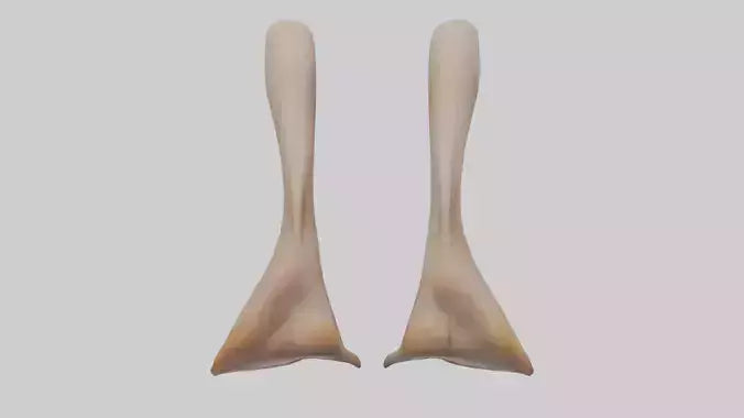 3D model Duck Feet VR / AR / low-poly