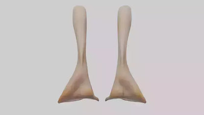 3D model Duck Feet VR / AR / low-poly