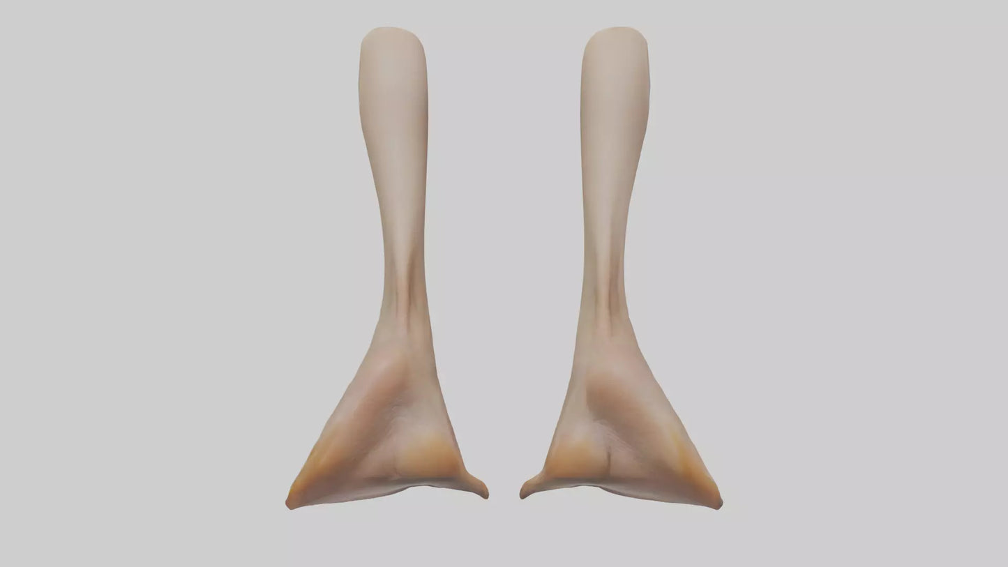 3D model Duck Feet VR / AR / low-poly