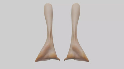 3D model Duck Feet VR / AR / low-poly