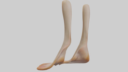 3D model Duck Feet VR / AR / low-poly