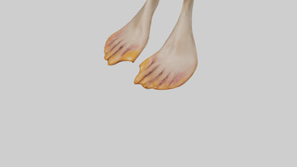 3D model Duck Feet VR / AR / low-poly
