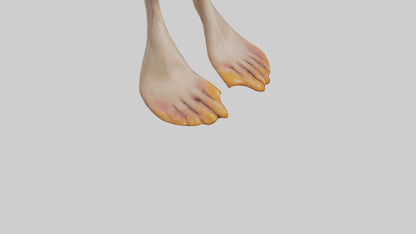 3D model Duck Feet VR / AR / low-poly