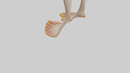 3D model Duck Feet VR / AR / low-poly