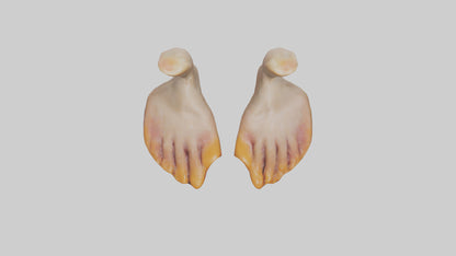 3D model Duck Feet VR / AR / low-poly