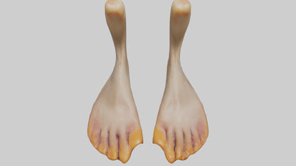 3D model Duck Feet VR / AR / low-poly