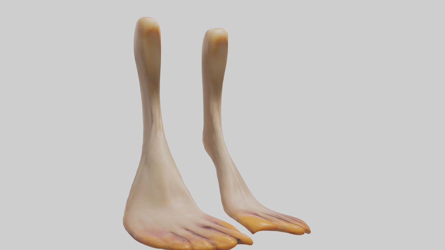 3D model Duck Feet VR / AR / low-poly